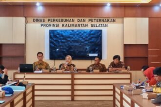 Harga TBS Kalsel Januari 2025 Naik 4,43 Persen