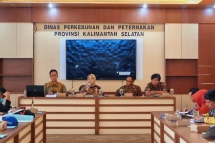 Harga TBS Kalsel Januari 2025 Naik 4,43 Persen