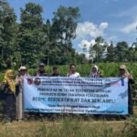 BPSBP Disbunnak Kalsel Perkuat Implementasi ISPO dengan Menyediakan Benih Kelapa Sawit Unggul, Bersertifikat dan Berlabel