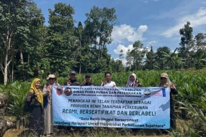 BPSBP Disbunnak Kalsel Perkuat Implementasi ISPO dengan Menyediakan Benih Kelapa Sawit Unggul, Bersertifikat dan Berlabel