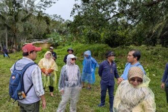 Dishut Kalsel Rencanakan Penanaman Mangrove di Desa Sabuhur Kabupaten Tanah Laut
