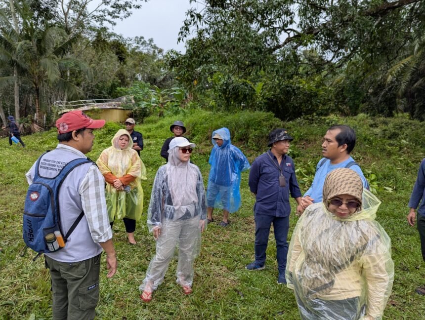 Dishut Kalsel Rencanakan Penanaman Mangrove di Desa Sabuhur Kabupaten Tanah Laut