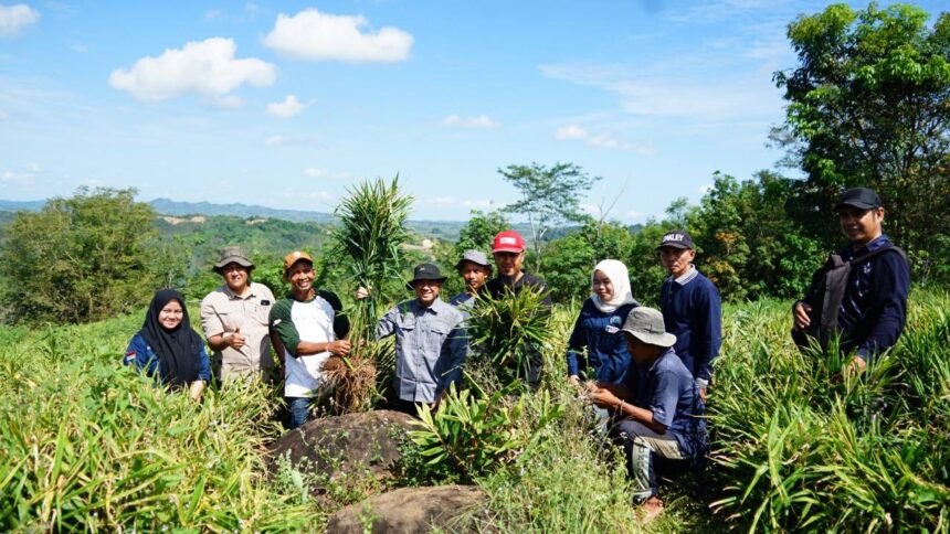 Pemprov Kalsel Dukung Langkah Inovatif Untuk Sektor Pertanian