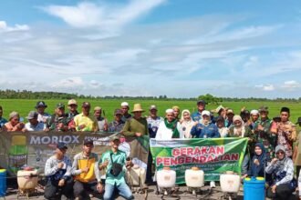  Cegah Serangan Hama, BPTPH Kalsel Intensifkan Penyuluhan dan Pengawasan pada Musim Kemarau 