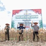 Bupati Andi Rudi Latif Panen Raya Jagung Serentak Nasional: Dukung Swasembada Pangan