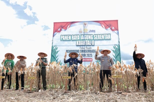 Bupati Andi Rudi Latif Panen Raya Jagung Serentak Nasional: Dukung Swasembada Pangan