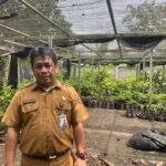 BBTPH Kalsel Perkuat Ketahanan Pangan Melalui Produksi Benih Sumber Berkualitas