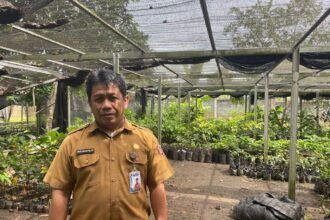 BBTPH Kalsel Perkuat Ketahanan Pangan Melalui Produksi Benih Sumber Berkualitas