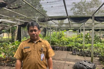 BBTPH Kalsel Perkuat Ketahanan Pangan Melalui Produksi Benih Sumber Berkualitas