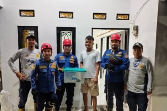 Satpol PP Damkar Provinsi Kalsel Tunjukkan Kesigapan Layani Masyarakat dalam Evakuasi Ular Cobra