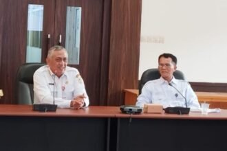 Pemprov Kalsel Dorong Optimalisasi Pendataan UMKM Melalui SIDT