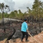 Status Darurat Karhutla Berakhir di 30 September, Dinsos Kalsel Pastikan Kesiapsiagaan Tetap Dilakukan