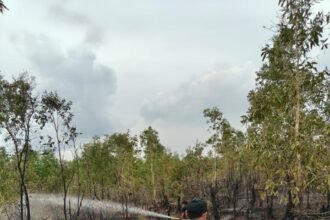 Status Darurat Karhutla Berakhir di 30 September, Dinsos Kalsel Pastikan Kesiapsiagaan Tetap Dilakukan