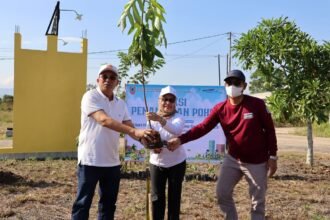 Sambut Hari Habitat dan Hari Kota Sedunia 2025, Pemprov Kalsel Gelar Aksi Penanaman Pohon