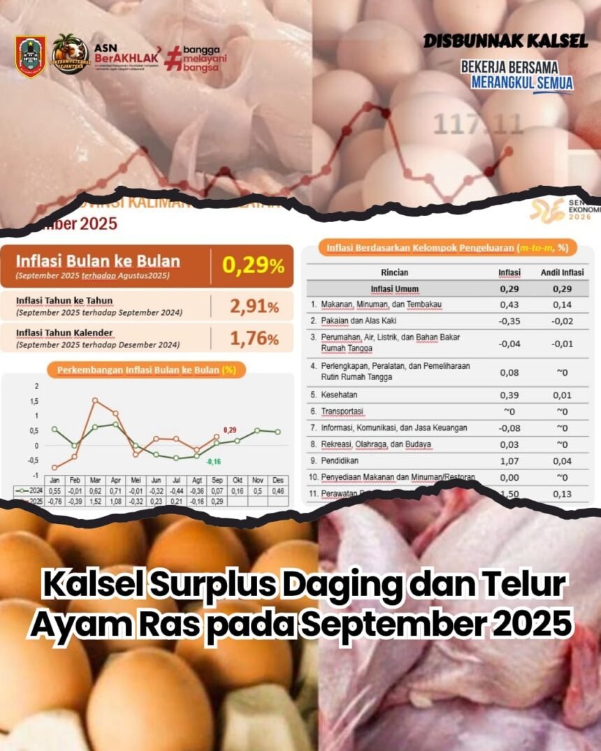September 2025, Kalsel Surplus Daging dan Telur Ayam Ras