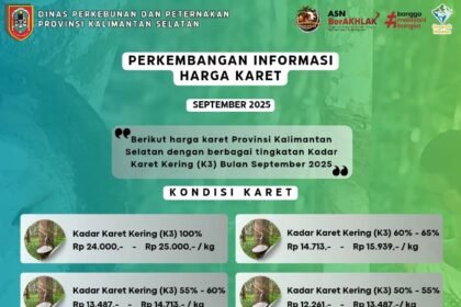 Harga Karet dan Sawit Menguat, NTP Kalsel Naik 1,69 Persen pada September 2025