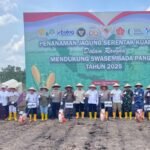 Gubernur Kalsel Dukung Penuh Penanaman Jagung Serentak Dorong Swasembada Pangan