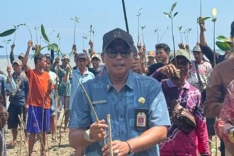 DKP Kalsel Perkenalkan Program Rehabilitasi Pesisir Metode Hybrid Engineering