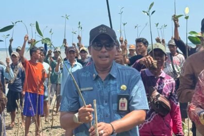 DKP Kalsel Perkenalkan Program Rehabilitasi Pesisir Metode Hybrid Engineering