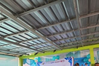 Ketua TP Posyandu Kalsel Lakukan Pembinaan Posyandu 6 SPM di Desa Mandiangin Barat