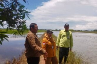 BPTPH Kalsel Gerak Cepat Bantu Petani Banjarbaru Hadapi Dampak Cuaca Ekstrem