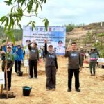Kick Off Program REDD+, Dishut Kalsel Tanami Lahan Tidur di Cempaka