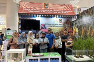 Tampilkan Inovasi Si Apung Kasela, DPKP Kalsel Raih Stand Terbaik Tiga di Batam Invite 2025