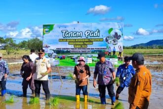 DPKP Kalsel Fokus Kuatkan Pangan Lewat Tujuh Program Prioritas 2026