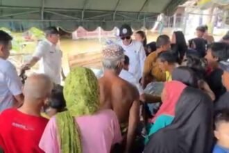 Ringankan Beban Warga Tertimpa Musibah Banjir, Dislutkan Kalsel Salurkan Bantuan di Teluk Selong