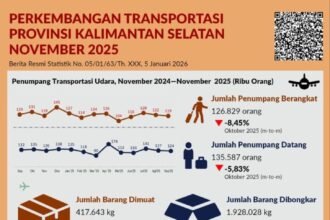 BPS Rilis Jumlah Penumpang Selama Bulan November 2025 Melalui Bandara Sebesar 126.829 orang 