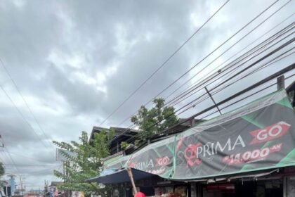 Satpol PP dan Damkar Kalsel Imbau Warga Waspada Bahaya Ular di Musim Hujan