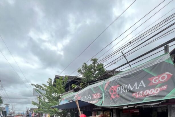 Satpol PP dan Damkar Kalsel Imbau Warga Waspada Bahaya Ular di Musim Hujan
