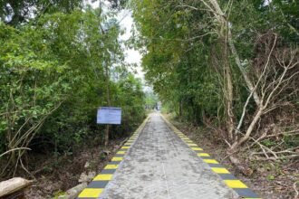 Lampaui Target, Disperkim Kalsel Tuntaskan Penanganan 35,85 Hektare Kawasan Kumuh Sepanjang 2025