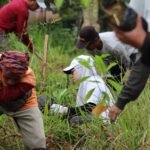 Komitmen Provinsi Hijau, Dishut Kalsel Lakukan Penanaman 300 Pohon Bintaro