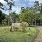 Kebun Raya Banua Siapkan Inovasi Wisata Imersif dan Penataan Lanskap di Tahun 2026