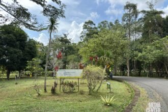 Kebun Raya Banua Siapkan Inovasi Wisata Imersif dan Penataan Lanskap di Tahun 2026