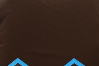 Komitmen Transparansi Berbuah Prestasi, Disdikbud Kalsel Terima Penghargaan Disiplin Administrasi Terbaik III