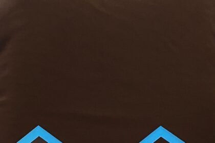 Komitmen Transparansi Berbuah Prestasi, Disdikbud Kalsel Terima Penghargaan Disiplin Administrasi Terbaik III