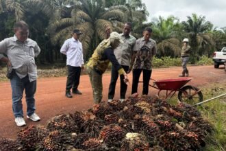 Percepat Pembangunan Sektor Pertenakan dan Perkebunan, Disbunnak Kalsel Perkuat Ketahanan Pangan dan Energi Daerah