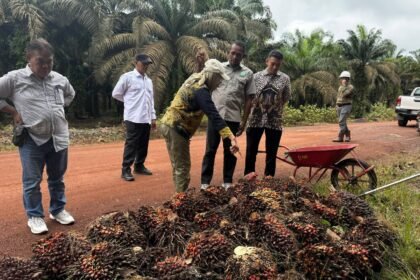 Percepat Pembangunan Sektor Pertenakan dan Perkebunan, Disbunnak Kalsel Perkuat Ketahanan Pangan dan Energi Daerah
