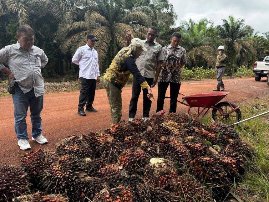 Percepat Pembangunan Sektor Pertenakan dan Perkebunan, Disbunnak Kalsel Perkuat Ketahanan Pangan dan Energi Daerah