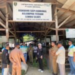 Pemprov Kalsel Perkuat Program Strategis Menuju Swasembada Daging