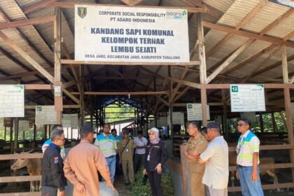 Pemprov Kalsel Perkuat Program Strategis Menuju Swasembada Daging