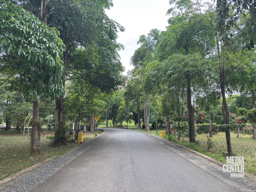 Kebun Raya Banua Percepat Konektivitas Kawasan, Jembatan Ditargetkan Selesai 2026