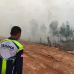 Masuk Musim Kemarau, Dinsos Kalsel Perkuat Kesiapsiagaan Karhutla