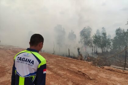 Masuk Musim Kemarau, Dinsos Kalsel Perkuat Kesiapsiagaan Karhutla