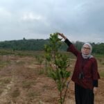 Program REDD+ Kalsel Tunjukkan Hasil Positif, Kadishut Lakukan Monitoring