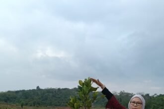 Program REDD+ Kalsel Tunjukkan Hasil Positif, Kadishut Lakukan Monitoring