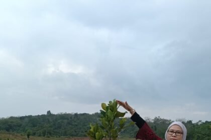 Program REDD+ Kalsel Tunjukkan Hasil Positif, Kadishut Lakukan Monitoring
