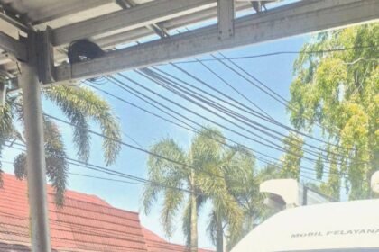 Permudah Layanan Adminduk, Dukcapil Kalsel Apresiasi Program PERI TUGU Banjarbaru